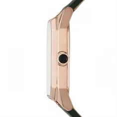 Emporio Armani AR11149 Kadın Kol Saati