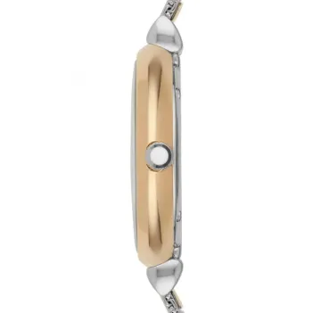 Emporio Armani AR2068 Bayan Kol Saati