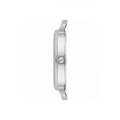 Emporio Armani AR2507 Kadın Kol Saati